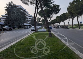 Commercial Activity Foggia - photo 4