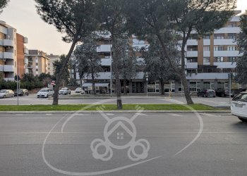 Commercial Activity Foggia - photo 5