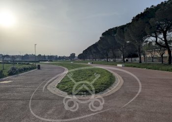 Commercial Activity Foggia - photo 29