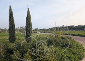 Commercial Activity Foggia - photo 31