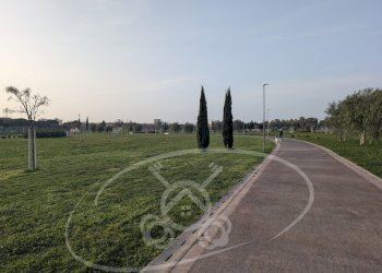 Commercial Activity Foggia - photo 32