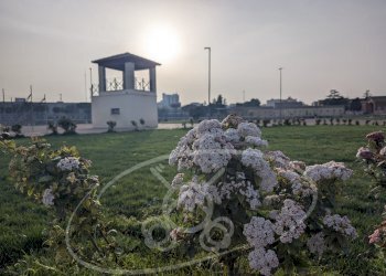 Commercial Activity Foggia - photo 36