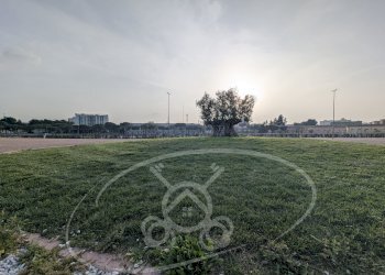 Commercial Activity Foggia - photo 37