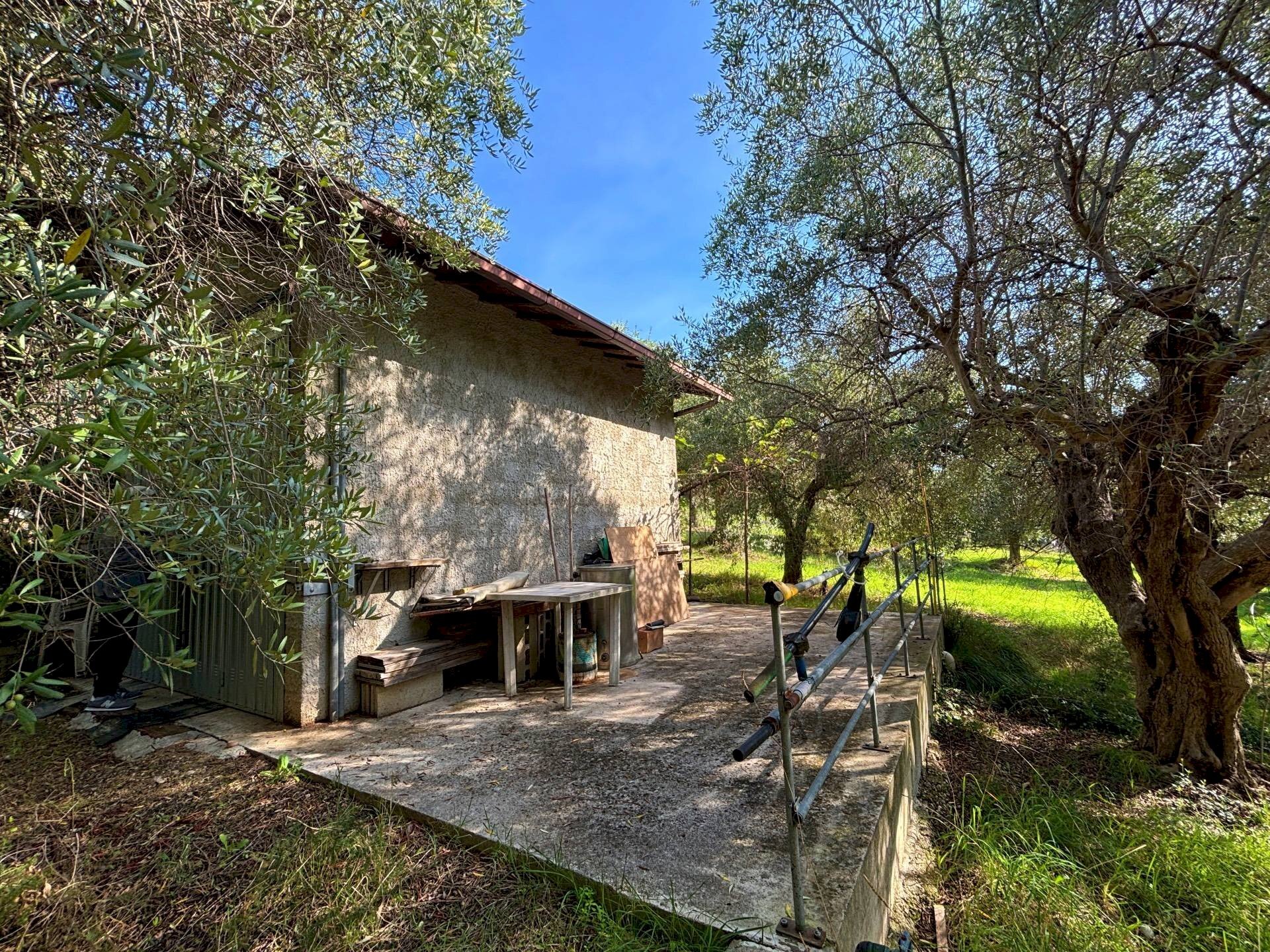 Terreno agricolo cuprense, Grottammare - foto 1