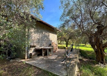 Terreno agricolo cuprense, Grottammare - foto 1