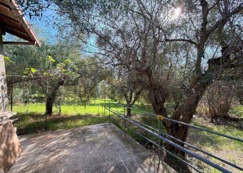 Terreno agricolo cuprense, Grottammare - foto 2