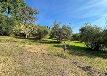 Terreno agricolo cuprense, Grottammare - foto 4
