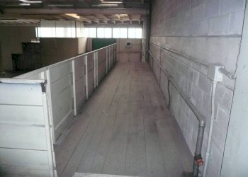 Interno non residenziale - Magazzino via Principale, Casier - foto 6