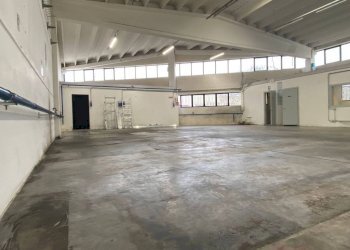 Interno non residenziale - Capannone Quinto di Treviso - foto 6