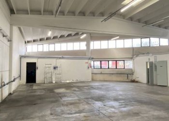 Interno non residenziale - Capannone Quinto di Treviso - foto 7