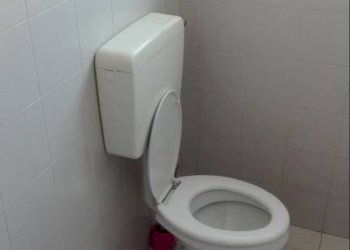 Bagno - Capannone via Brondi, Quinto di Treviso - foto 8