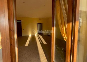 IMG-20241111-WA0019.jpg - Appartamento Ceccano - foto 15