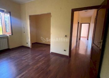 IMG-20241111-WA0033.jpg - Appartamento Ceccano - foto 29