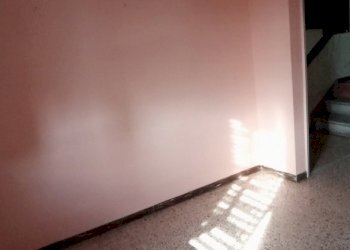 1731347336898.jpg - Terratetto - Terracielo Via per Corte Capecchio, Lucca - foto 20