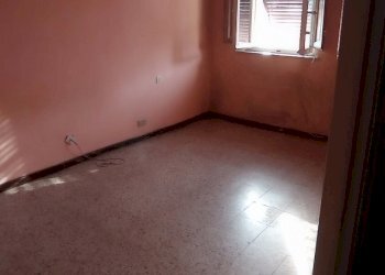 1731347336936.jpg - Terratetto - Terracielo Via per Corte Capecchio, Lucca - foto 23