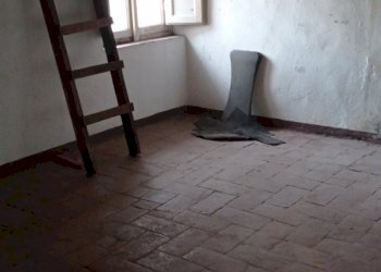 1731347336943.jpg - Terratetto - Terracielo Via per Corte Capecchio, Lucca - foto 24