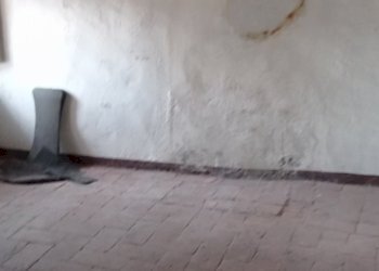 1731347336964.jpg - Terratetto - Terracielo Via per Corte Capecchio, Lucca - foto 25