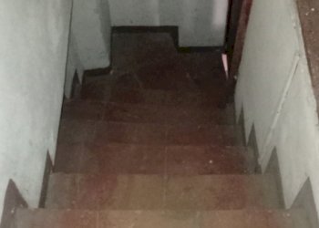 1731347336972.jpg - Terratetto - Terracielo Via per Corte Capecchio, Lucca - foto 26