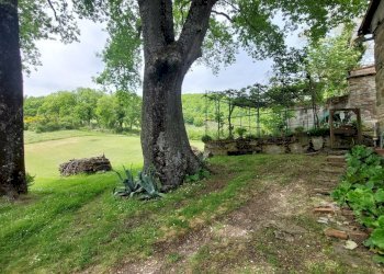 28villoreind.jpg - Casa Colonica Vicchio - foto 28