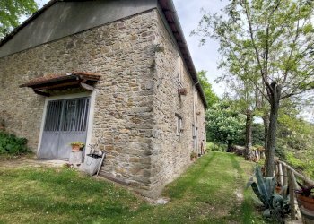 30villoreind.jpg - Casa Colonica Vicchio - foto 30