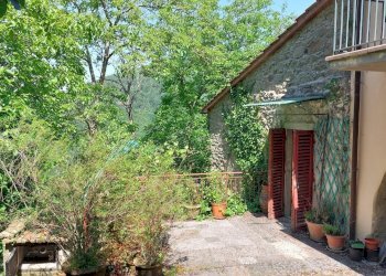 1porzioneindrincine.jpg - Rustico Londa - foto 1