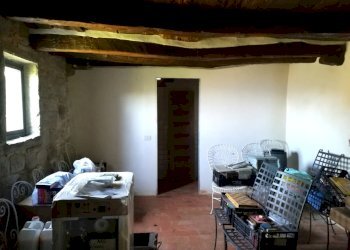 8porzioneindrincine.jpg - Rustico Londa - foto 4