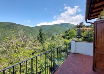 18porzionerincine.jpg - Rustico Londa - foto 16