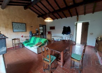 8fienilebarb.jpg - Rustico Vicchio - foto 8