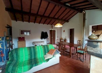 9fienilebarb.jpg - Rustico Vicchio - foto 9