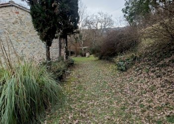 29fienilebarb.jpg - Rustico Vicchio - foto 29