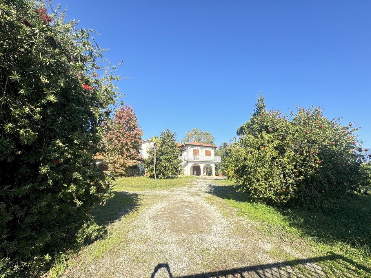 IMG_9747.JPG - Casale Pietrasanta - foto 3