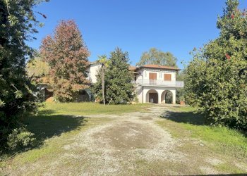 IMG_9752.JPG - Casale Pietrasanta - foto 1