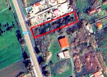 Agricultural land Mondragone - photo 2