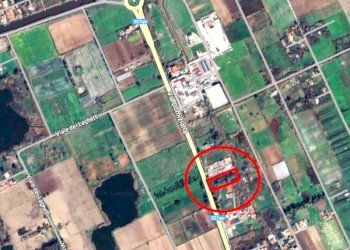 Agricultural land Mondragone - photo 3