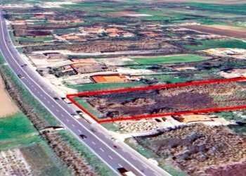 Agricultural land Mondragone - photo 4