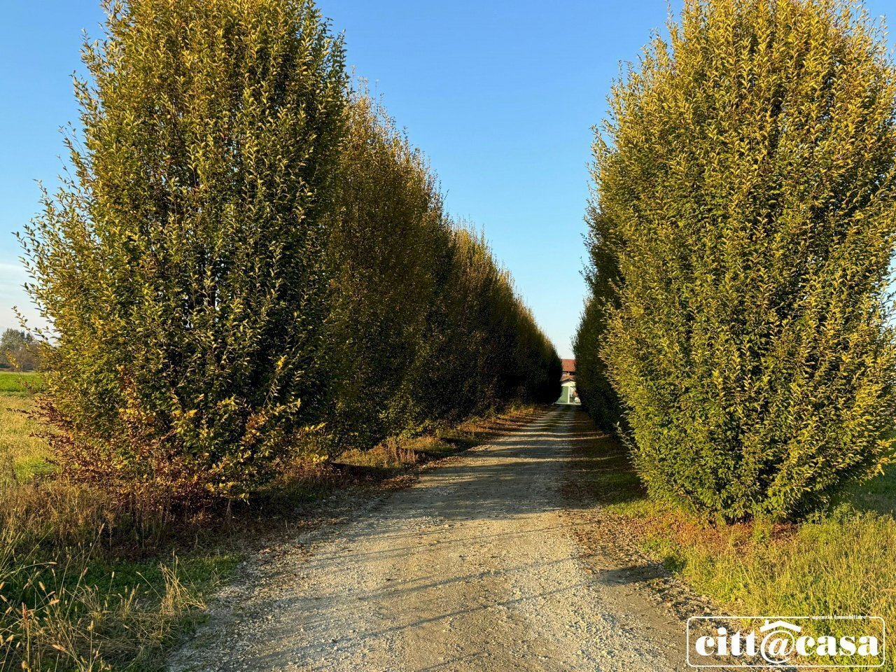 Casa indipendente Verolengo - foto 2