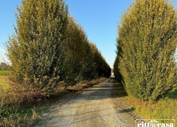 Casa indipendente Verolengo - foto 2