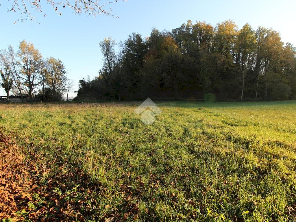 Casa semi indipendente Str. Scurano, Neviano degli Arduini - foto 3