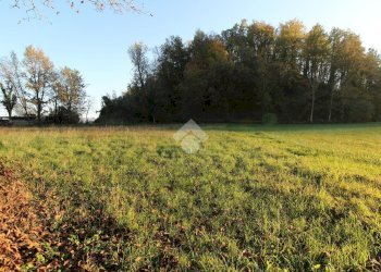 Casa semi indipendente Str. Scurano, Neviano degli Arduini - foto 3