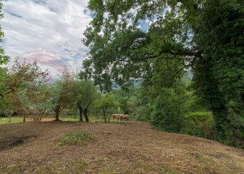 Appartamento Contrada Casale, Arpino - foto 13