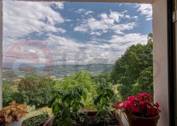 Appartamento Contrada Casale, Arpino - foto 30