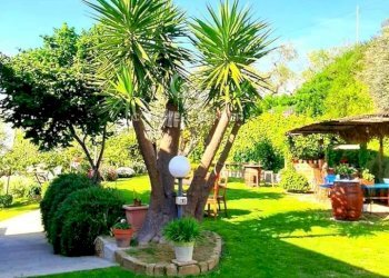 Casa indipendente Località spiaffrido, Castellabate - foto 29