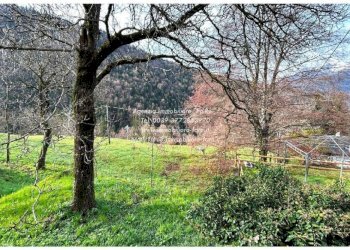 Terreno - Rustico via Fratelli Piazza, 81, Craveggia - foto 6