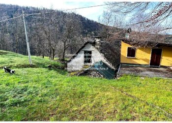 Terreno - Rustico via Fratelli Piazza, 81, Craveggia - foto 15