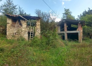 podere Mulino_Zocca (2).jpg - Rustic via Selve 3205, Zocca - photo 2