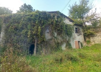 podere Mulino_Zocca (4).jpg - Rustic via Selve 3205, Zocca - photo 3