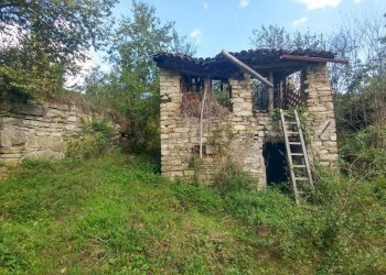 podere Mulino_Zocca (8).jpg - Rustic via Selve 3205, Zocca - photo 6