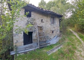 podere Mulino_Zocca (9).jpg - Rustic via Selve 3205, Zocca - photo 9