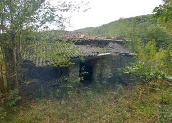 podere Mulino_Zocca (12).jpg - Rustic via Selve 3205, Zocca - photo 11