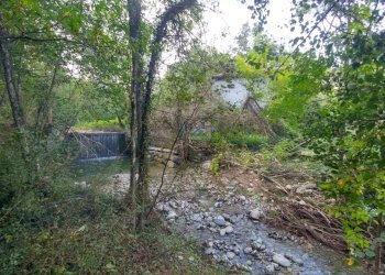 podere Mulino_Zocca (33).jpg - Rustic via Selve 3205, Zocca - photo 12